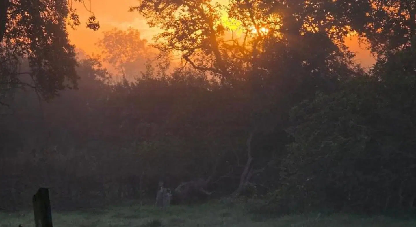 Brampton Dales Farm Bed and Breakfast LANDSCAPE