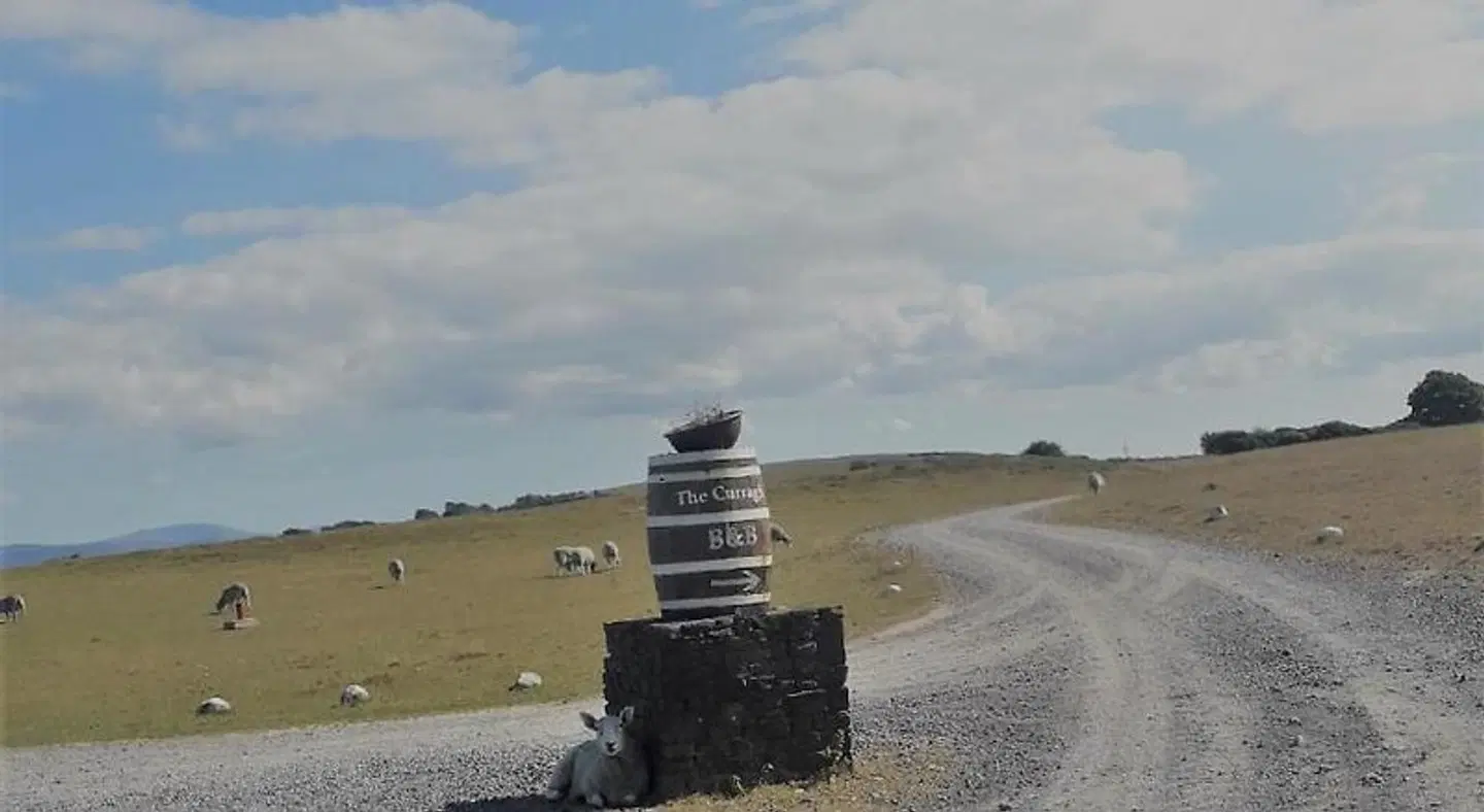 The Curragh B&B Country House Accommodation LANDSCAPE