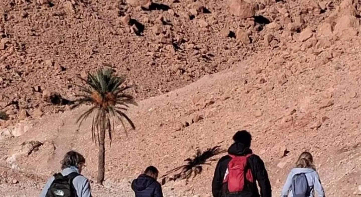 Riad Tigmi Du Soleil LANDSCAPE