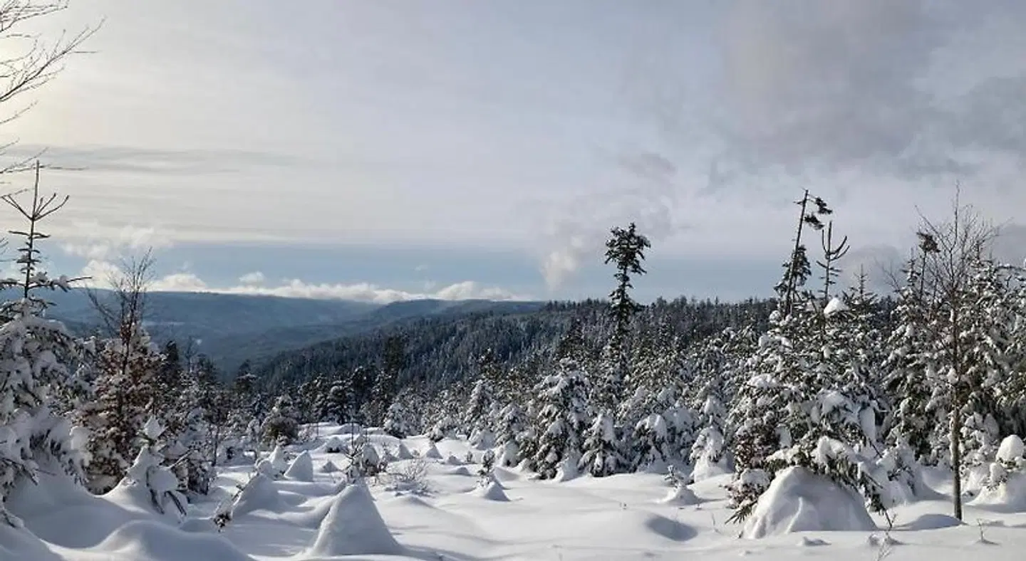 Oberwiesenhof LANDSCAPE
