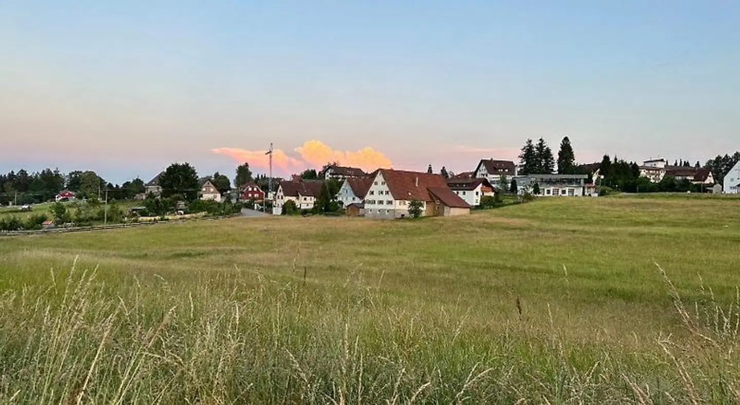 Oberwiesenhof Tiere