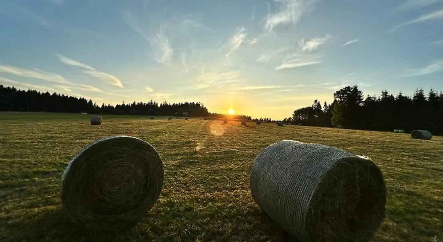 Oberwiesenhof LANDSCAPE