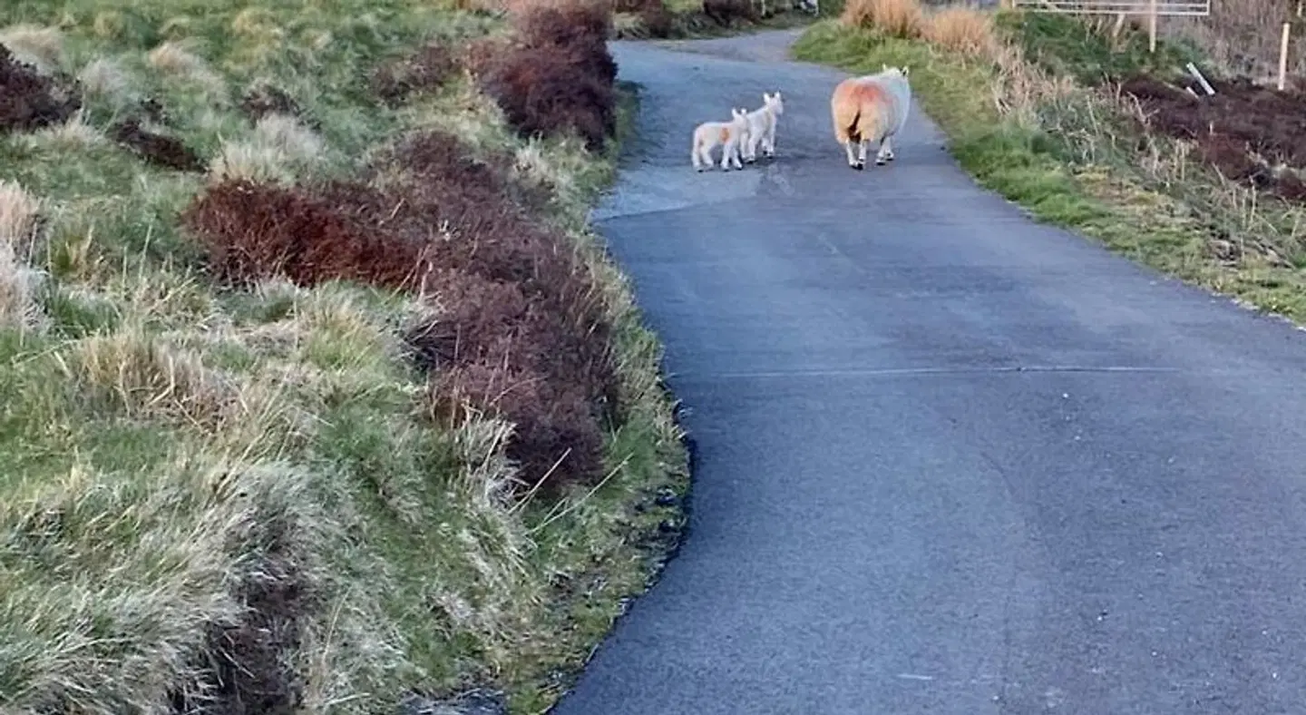 Skye Getaways Strand