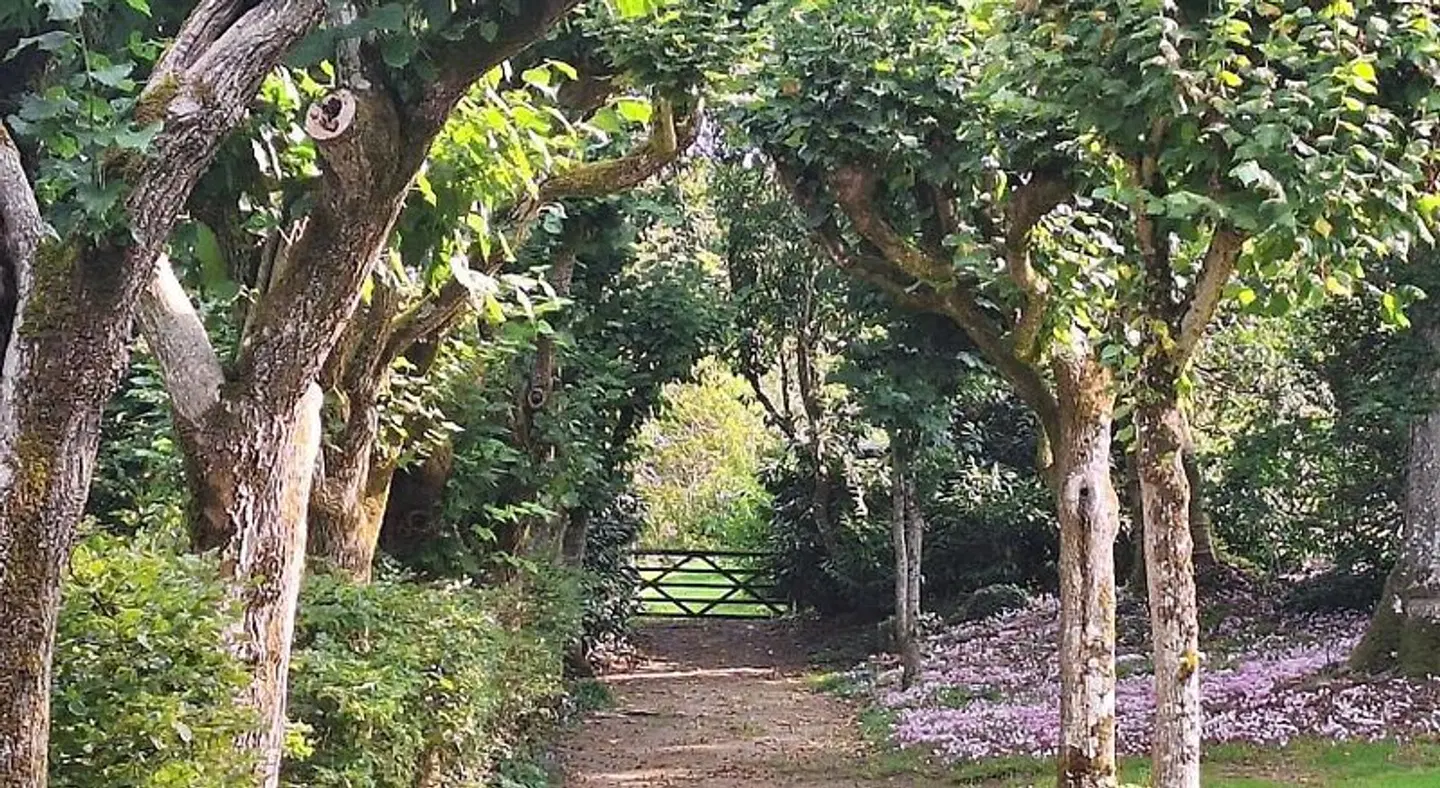 Appartement du Château du Grand Bouchet Garten