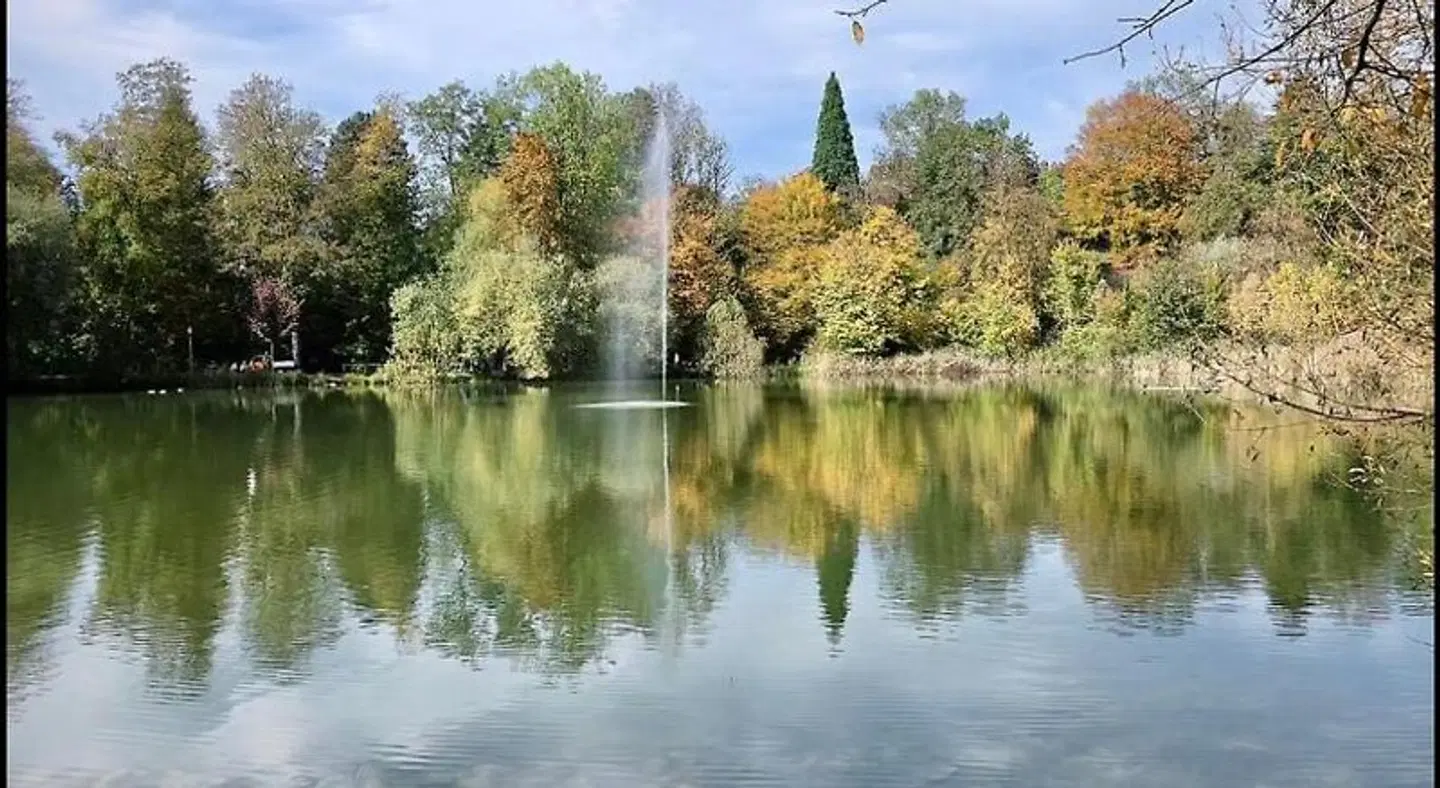 Bett am Weiher LANDSCAPE