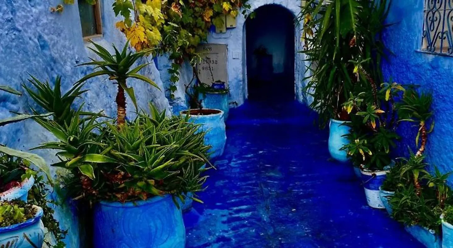 Usha Guest House EXTERIOR