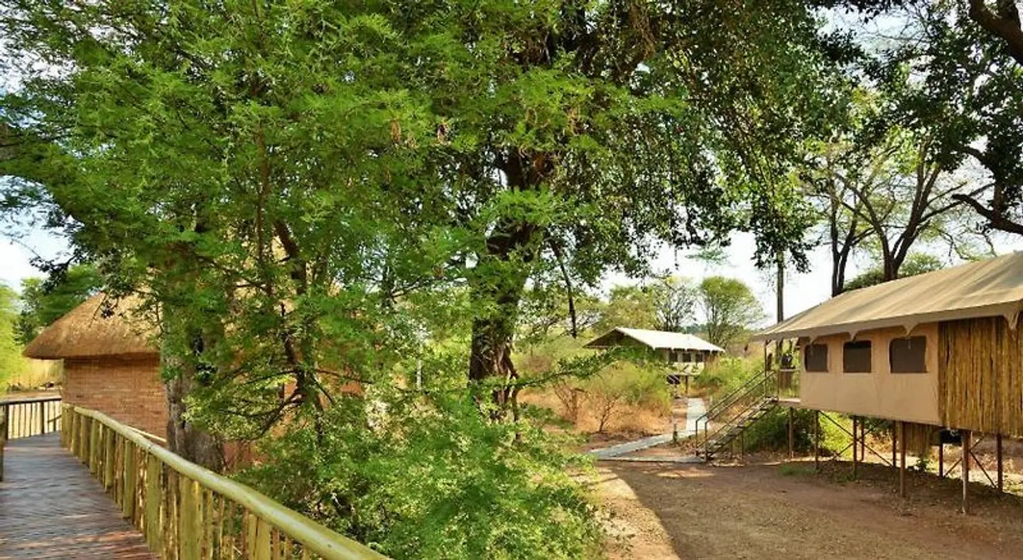 Jackalberry Chobe LANDSCAPE