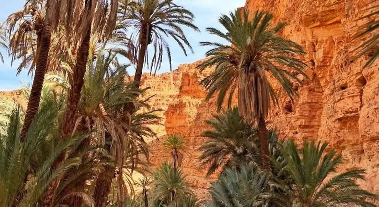 Auberge Kasbah Chez Amaliya LANDSCAPE