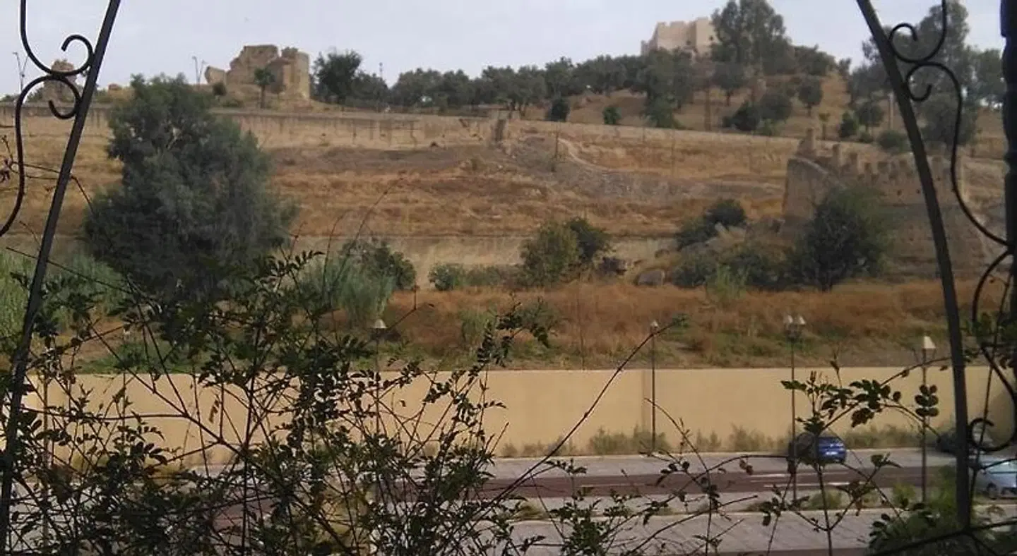 Dar El Aamouri LANDSCAPE