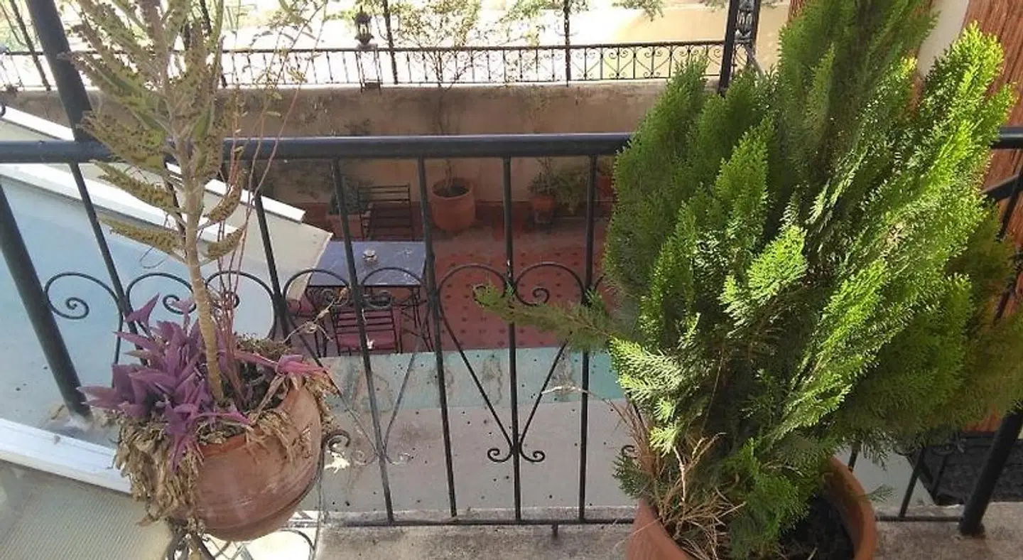 Dar El Aamouri Terrasse