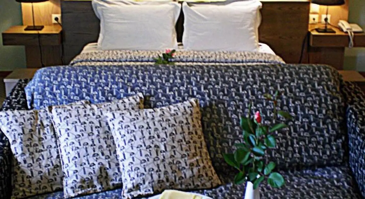 Aigai Hotel ROOM_EXAMPLE