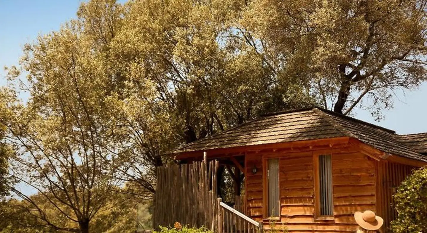 L'Hostellerie du Moulin des Oliviers Garten