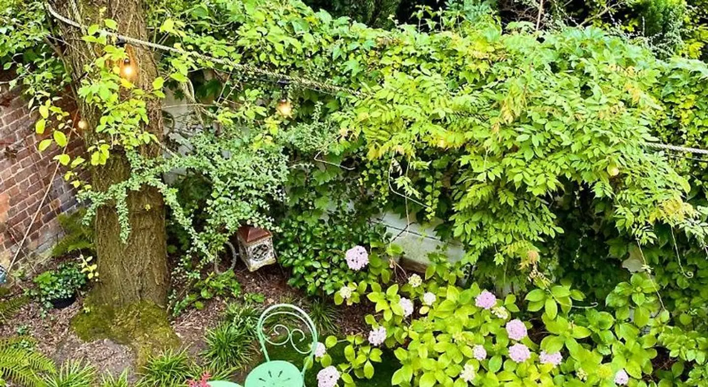 B&B Petit Prince LANDSCAPE