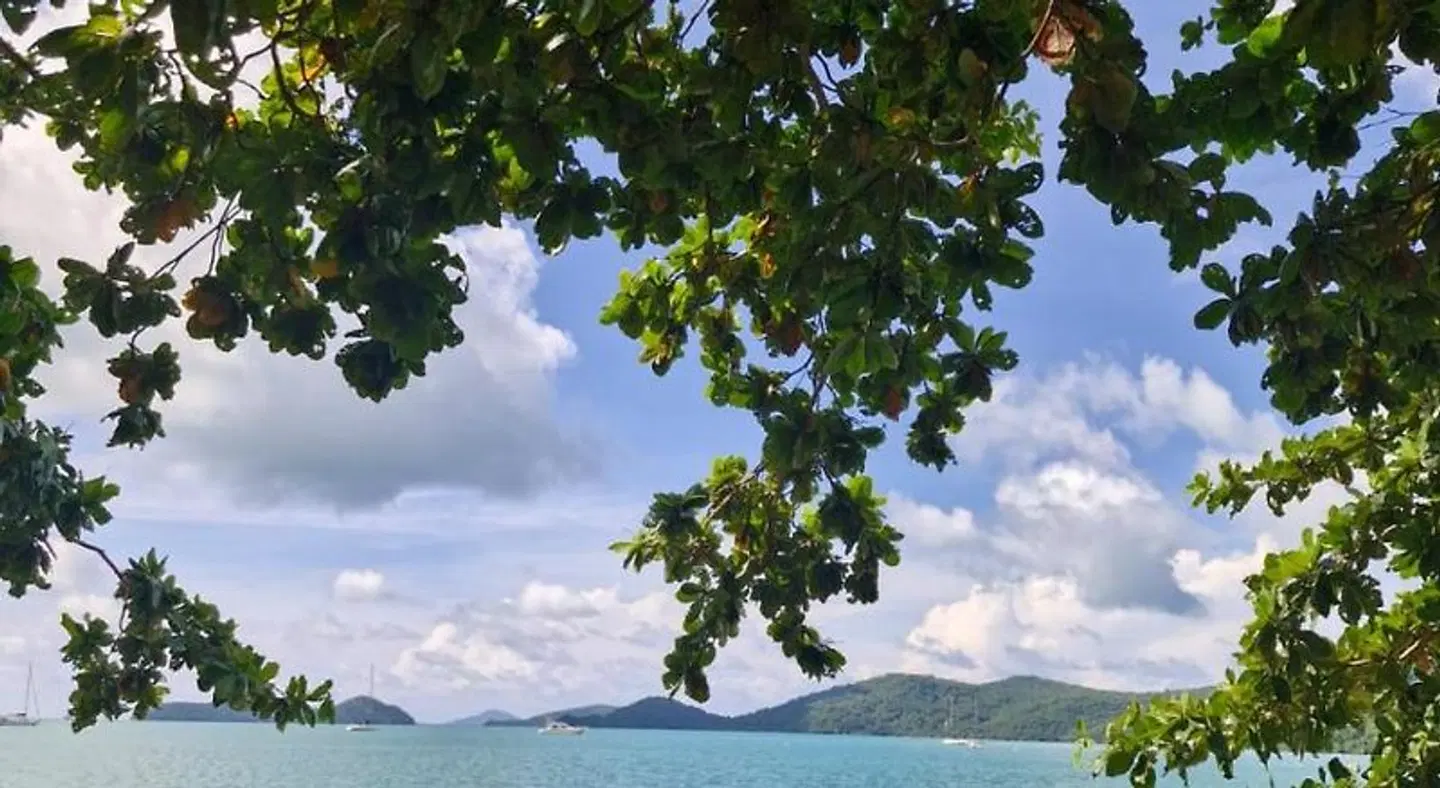The Mooring Resort LANDSCAPE