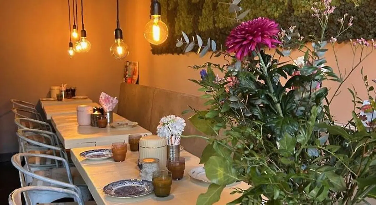Trash Deluxe Garten
