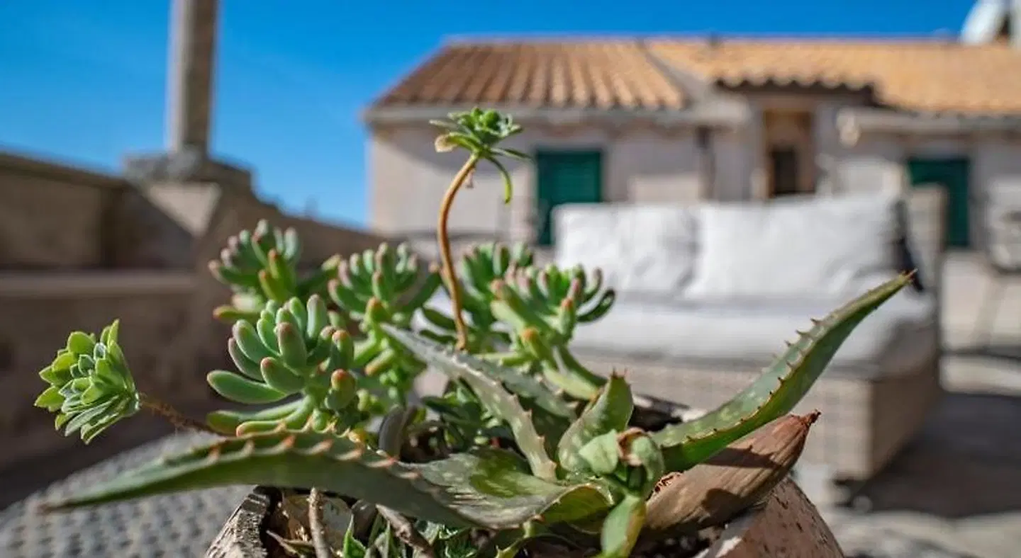 Villa Ragusa Vecchia EXTERIOR