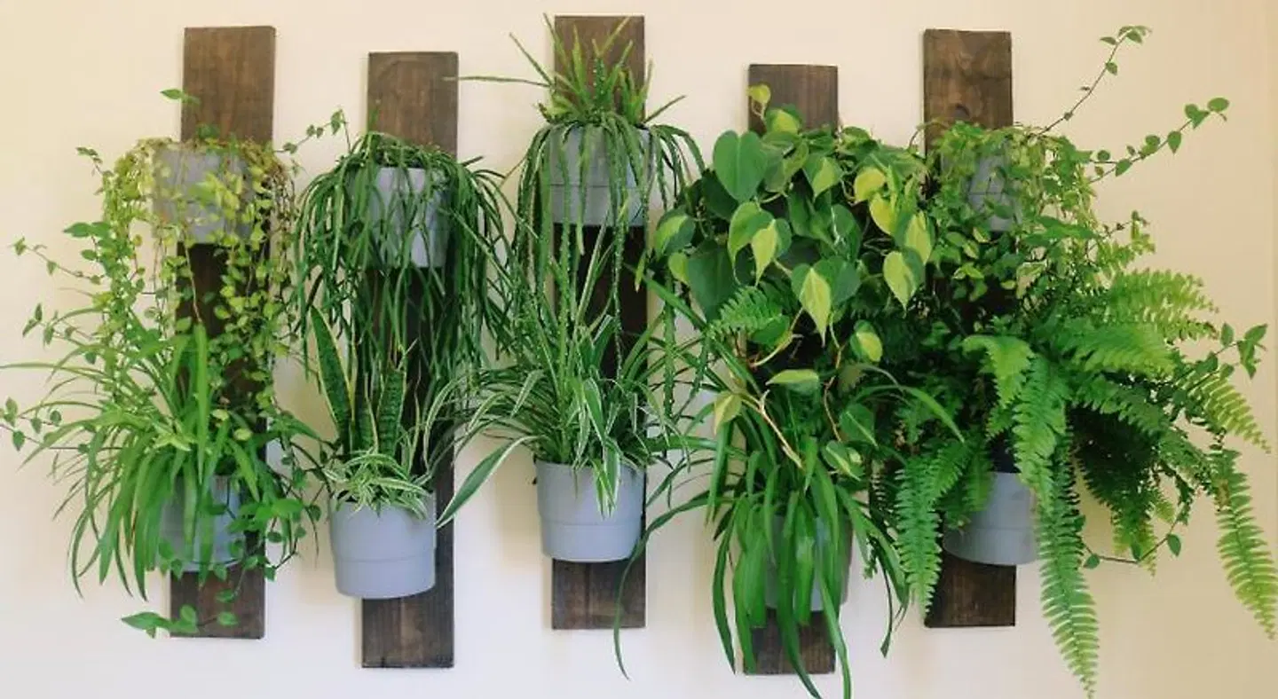 Green Element Guesthouse Garten