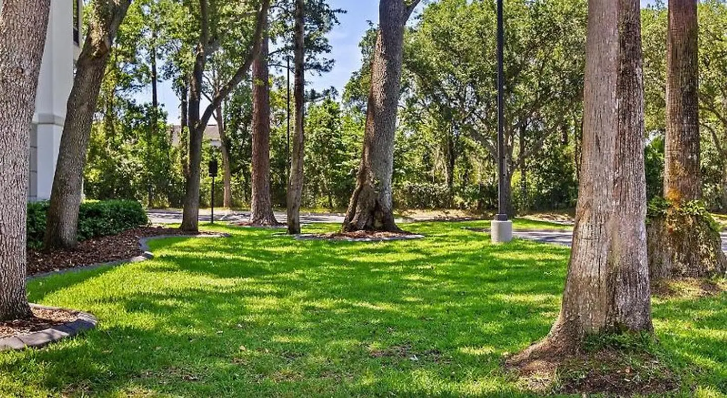 Hampton Inn Jacksonville/Ponte Vedra Beach-Mayo Clinic Area Garten