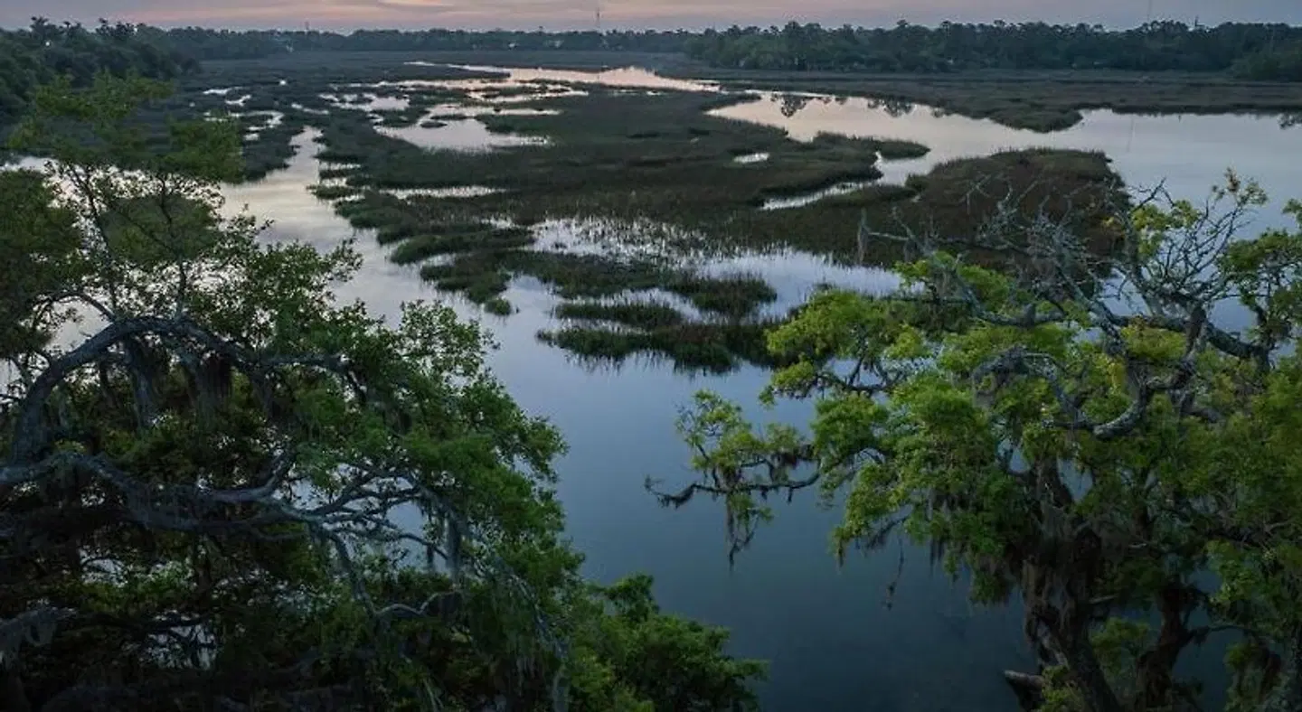 Hampton Inn Beaufort LANDSCAPE