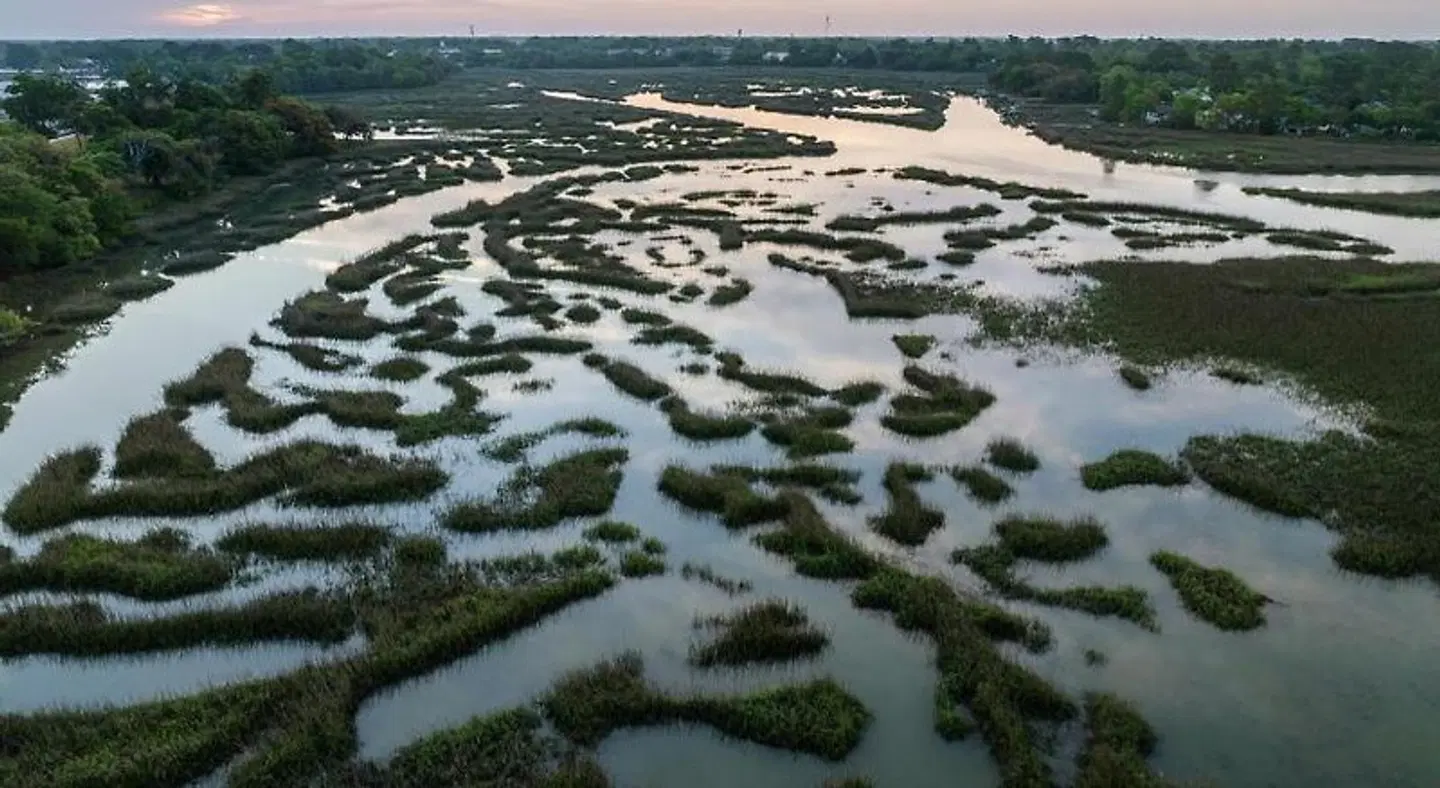 Hampton Inn Beaufort LANDSCAPE