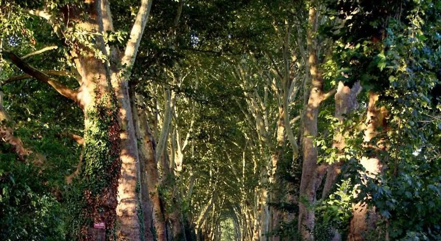 Chateau le Quesnoy LANDSCAPE