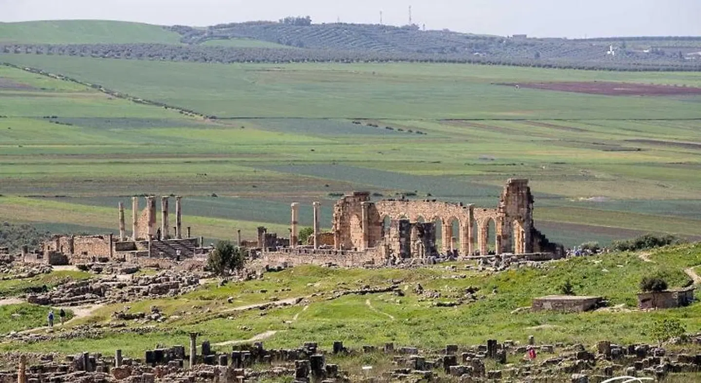 Ryad Salama LANDSCAPE