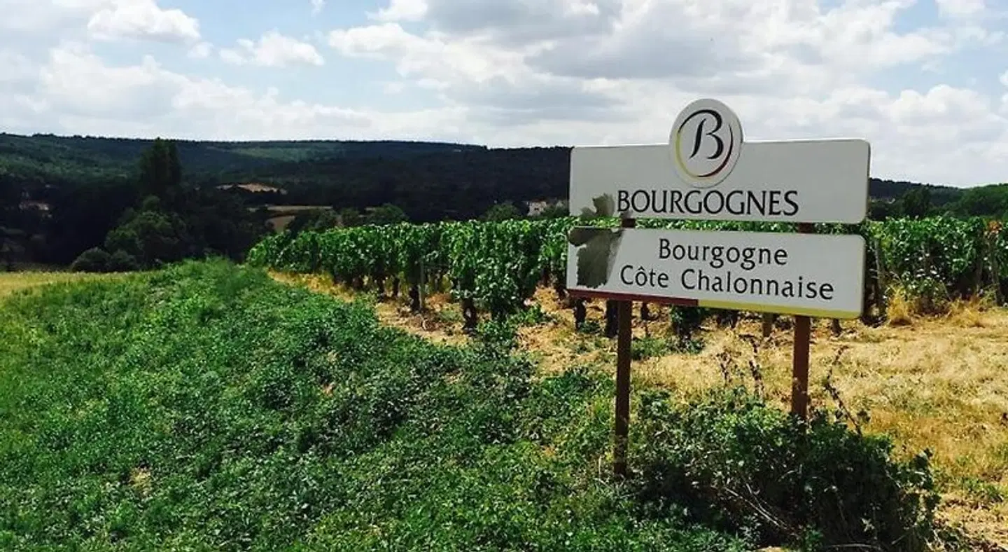 Domaine Pont Juillet LANDSCAPE