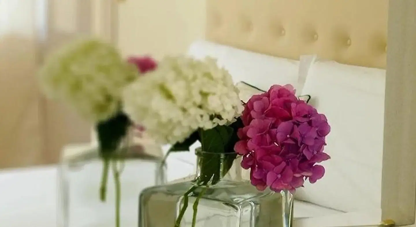 Hotel Sant'Andrea Restaurant