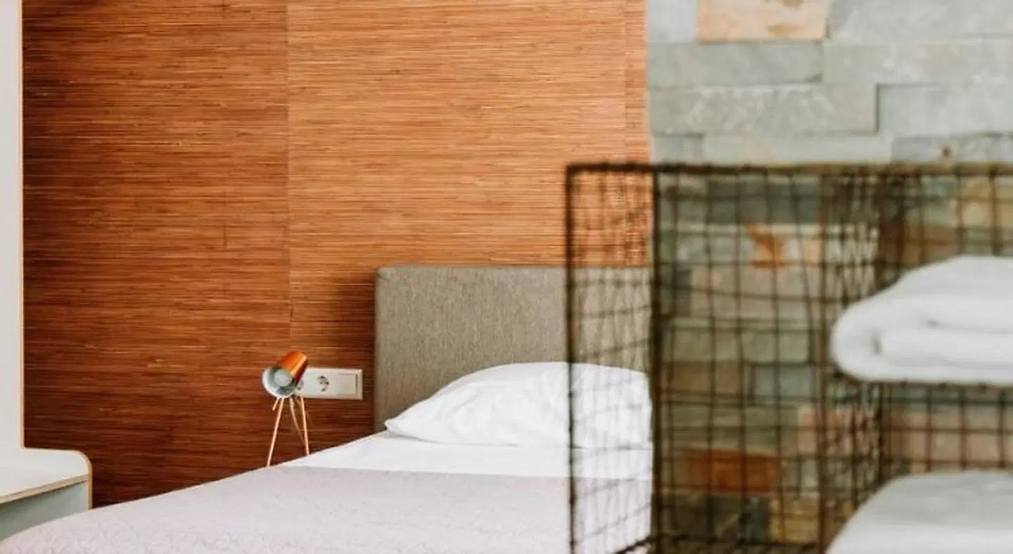 La Paulowna Boutique Hotel ROOM_EXAMPLE