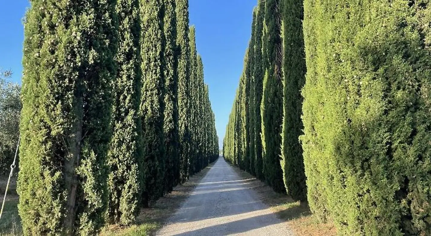 Azienda Agrituristica Le Betulle Garten