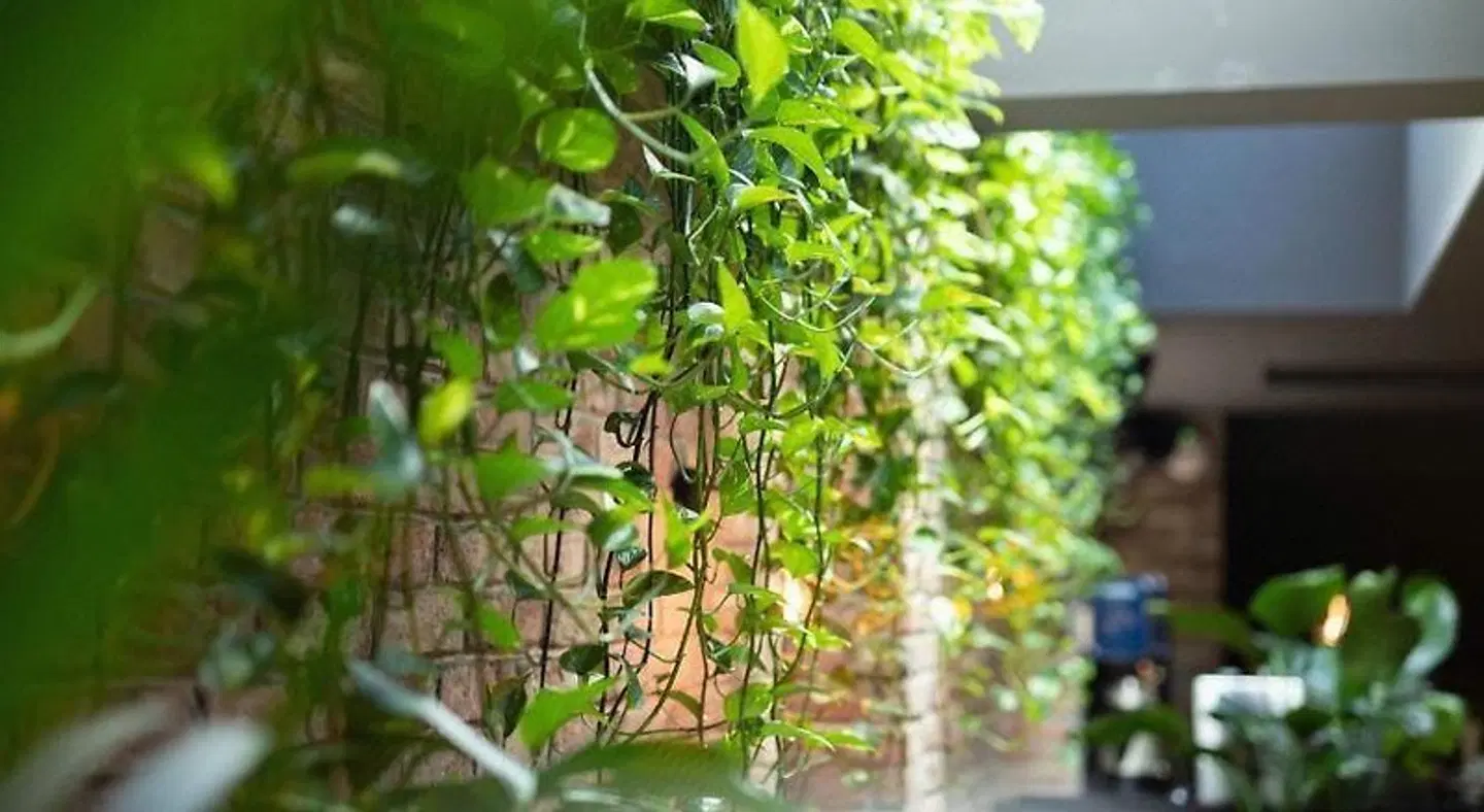 133 Boutique Hotel Garten