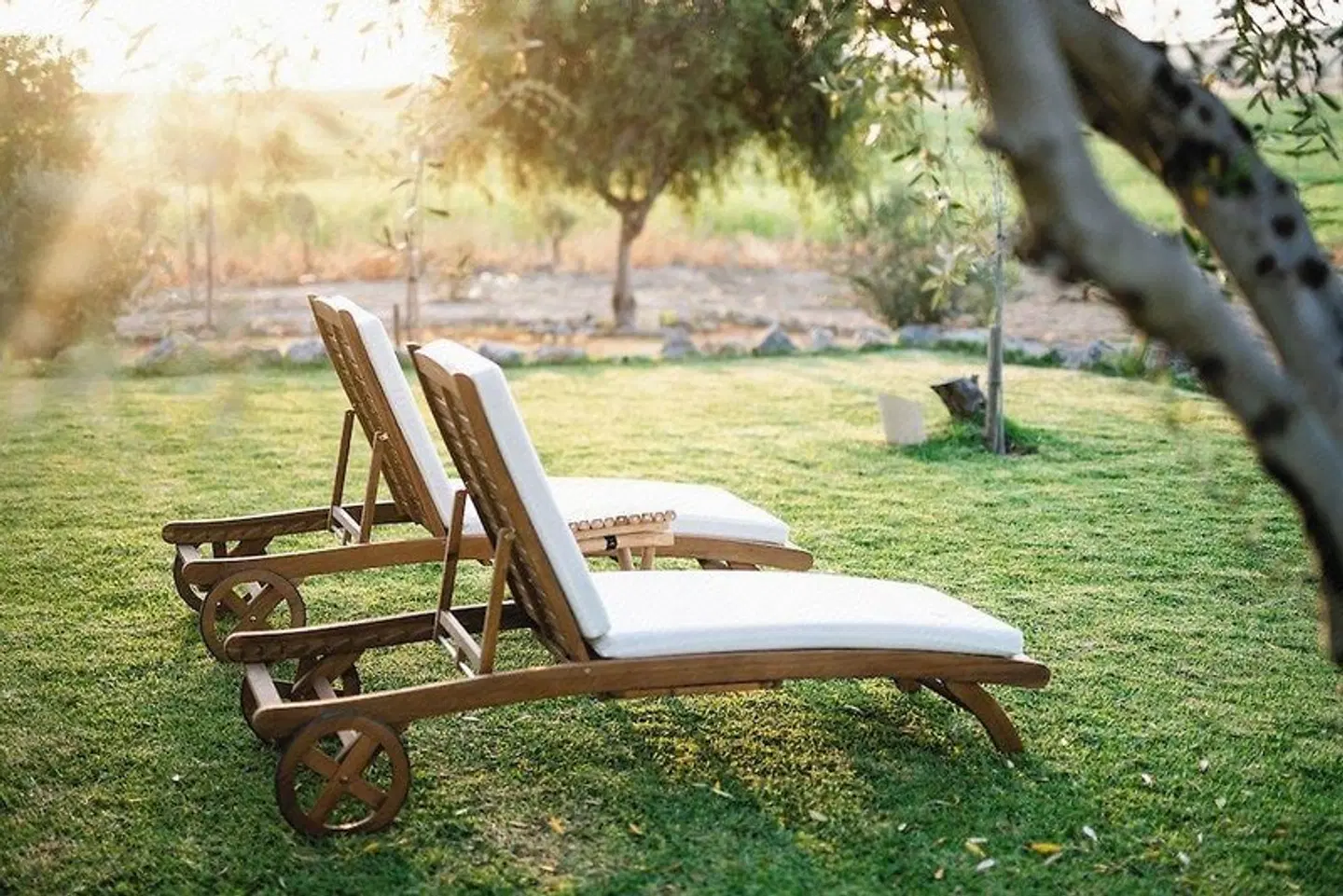 Hacienda San Rafael Garten