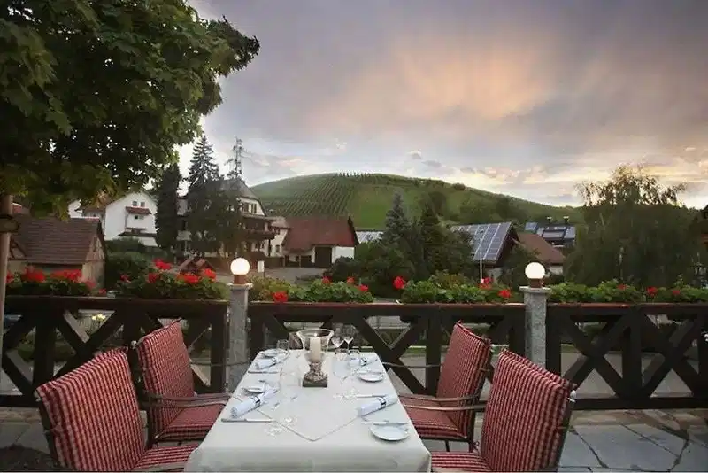 Rebstock – Hotelfoto