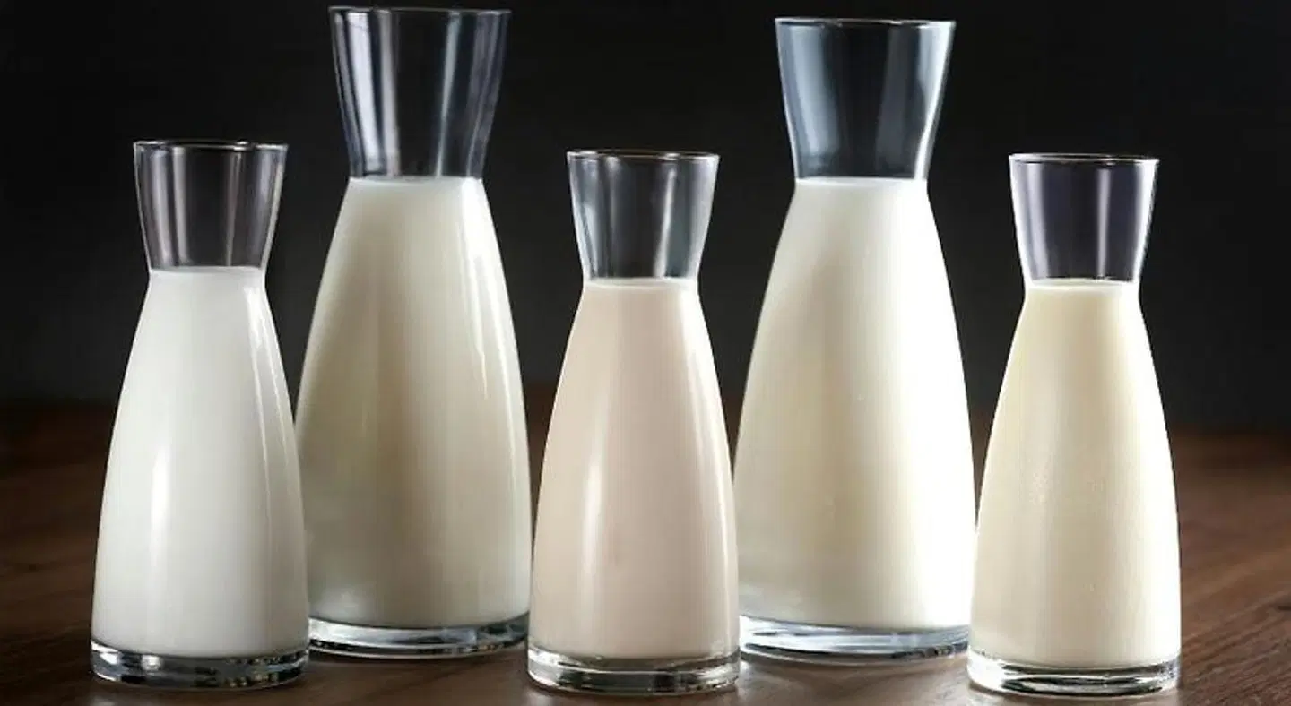 NH Cartagena LOUNGE_LOBBY