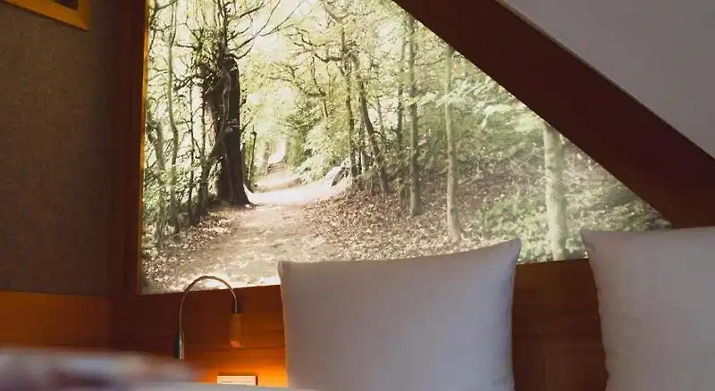 Waldblick – Hotelfoto