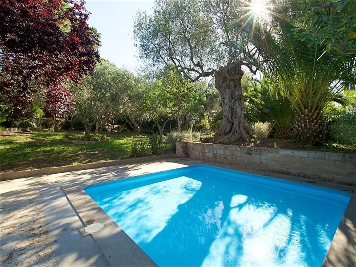 Residence Solemaremma OUTDOOR_POOL