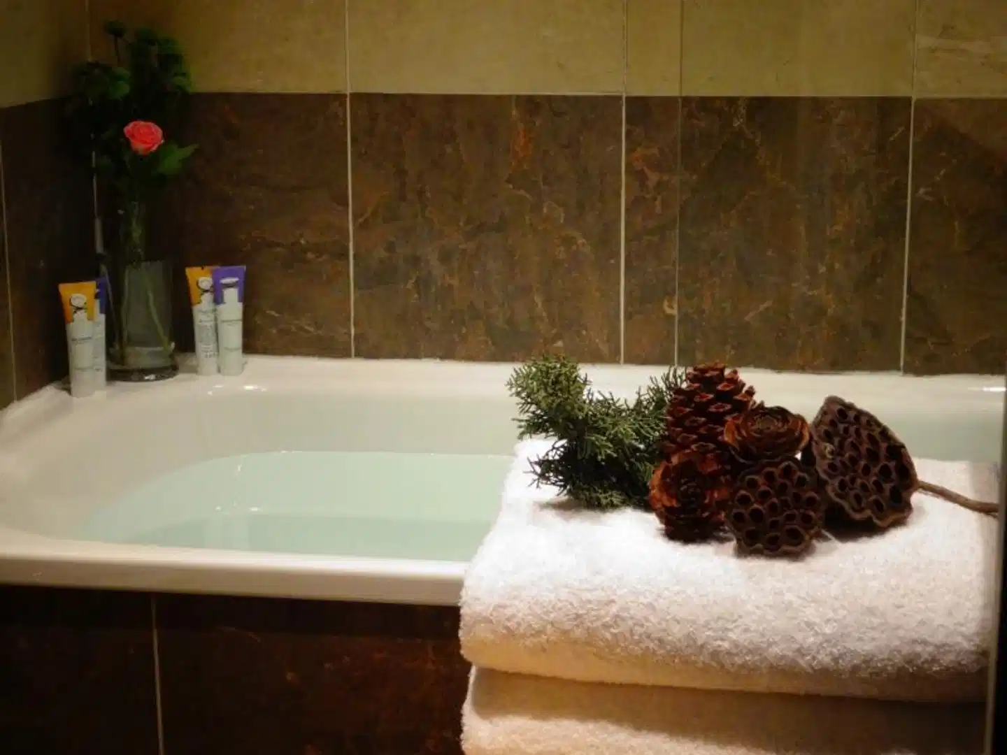 Prince de Conti Wellness