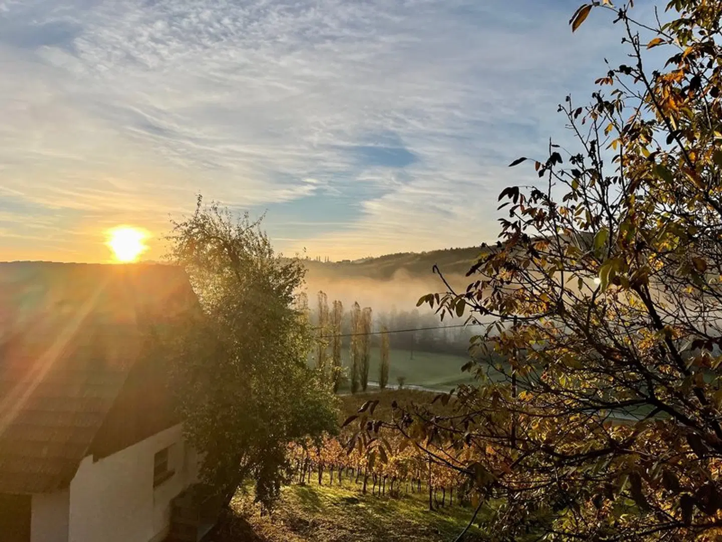Weingut Rohrbacher LANDSCAPE