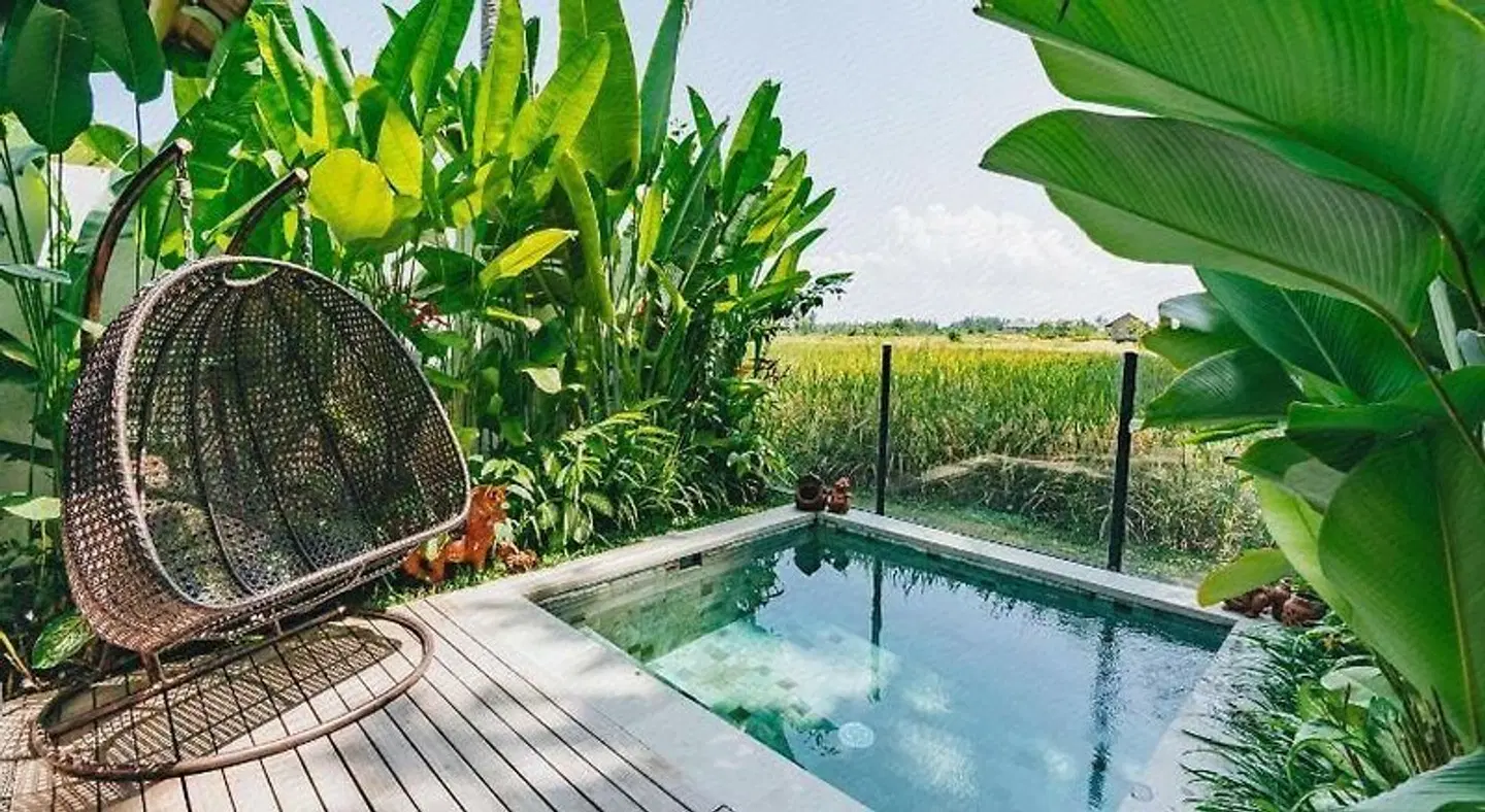 Calma Ubud OUTDOOR_POOL