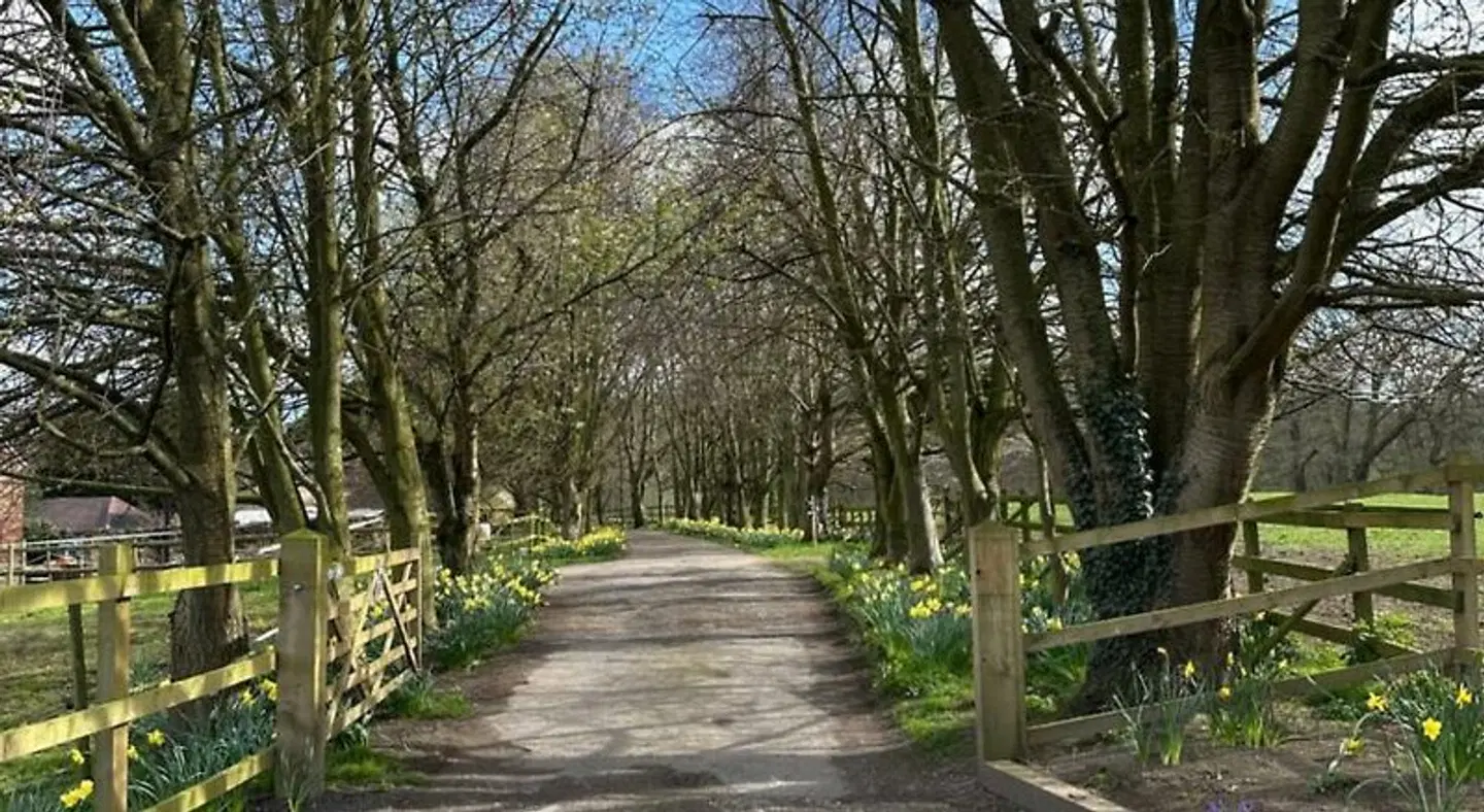 Abbey Farm Bed And Breakfast Garten