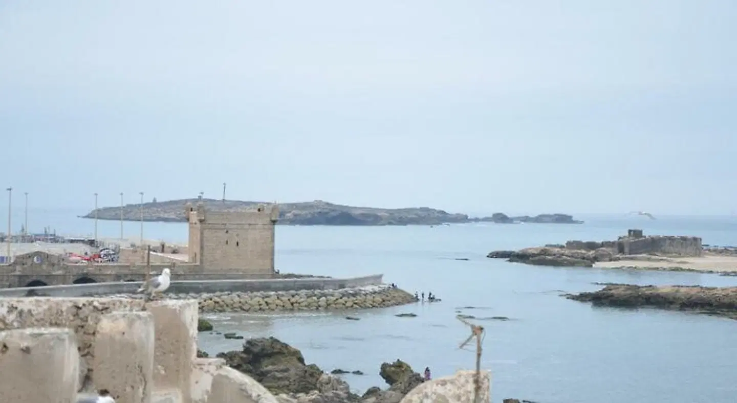 Dar Loulema LANDSCAPE