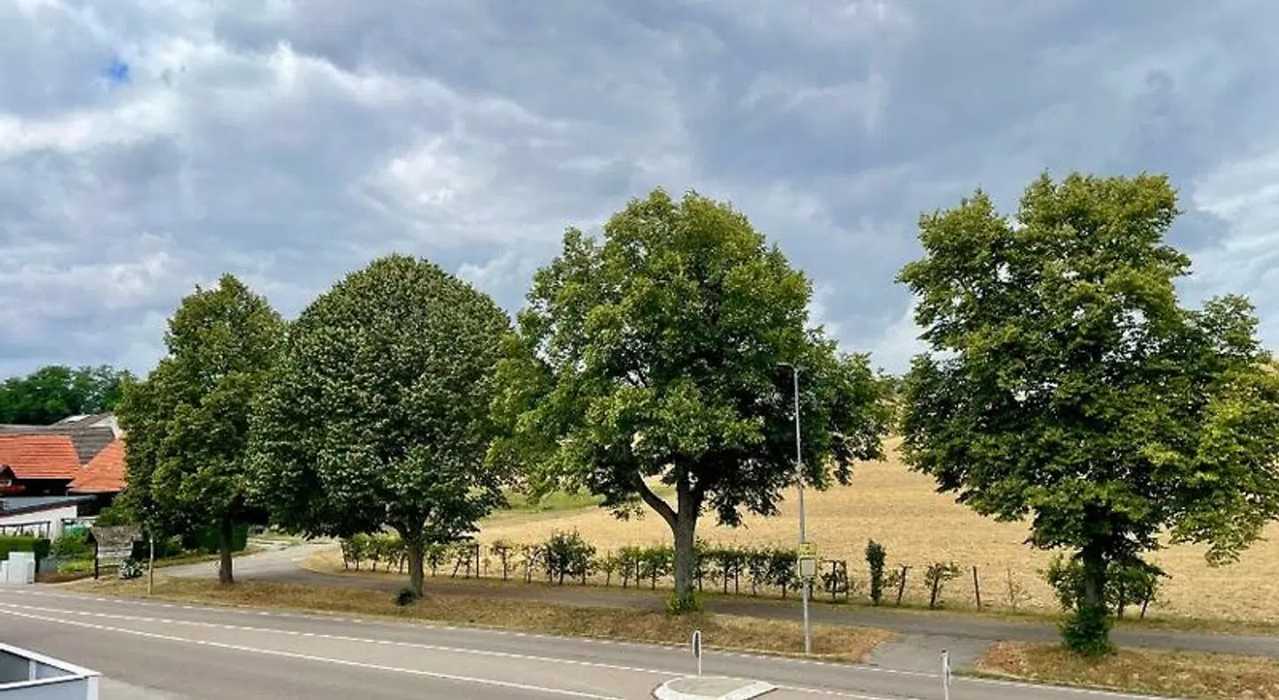 Wincent LANDSCAPE