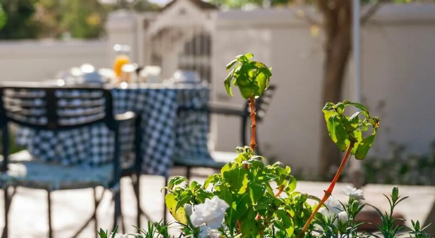 Rozenburg Guest House Garten