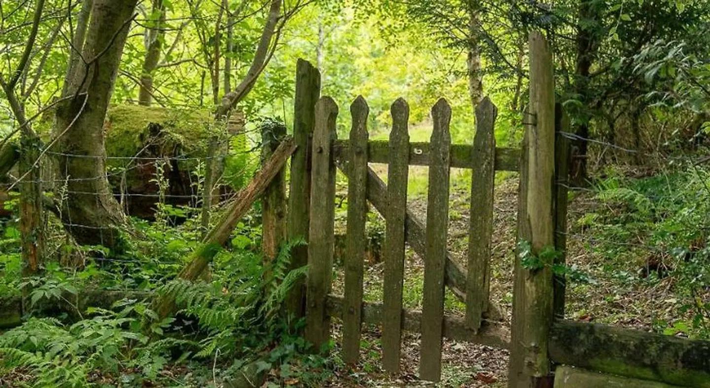 Sygun Fawr Country House Garten