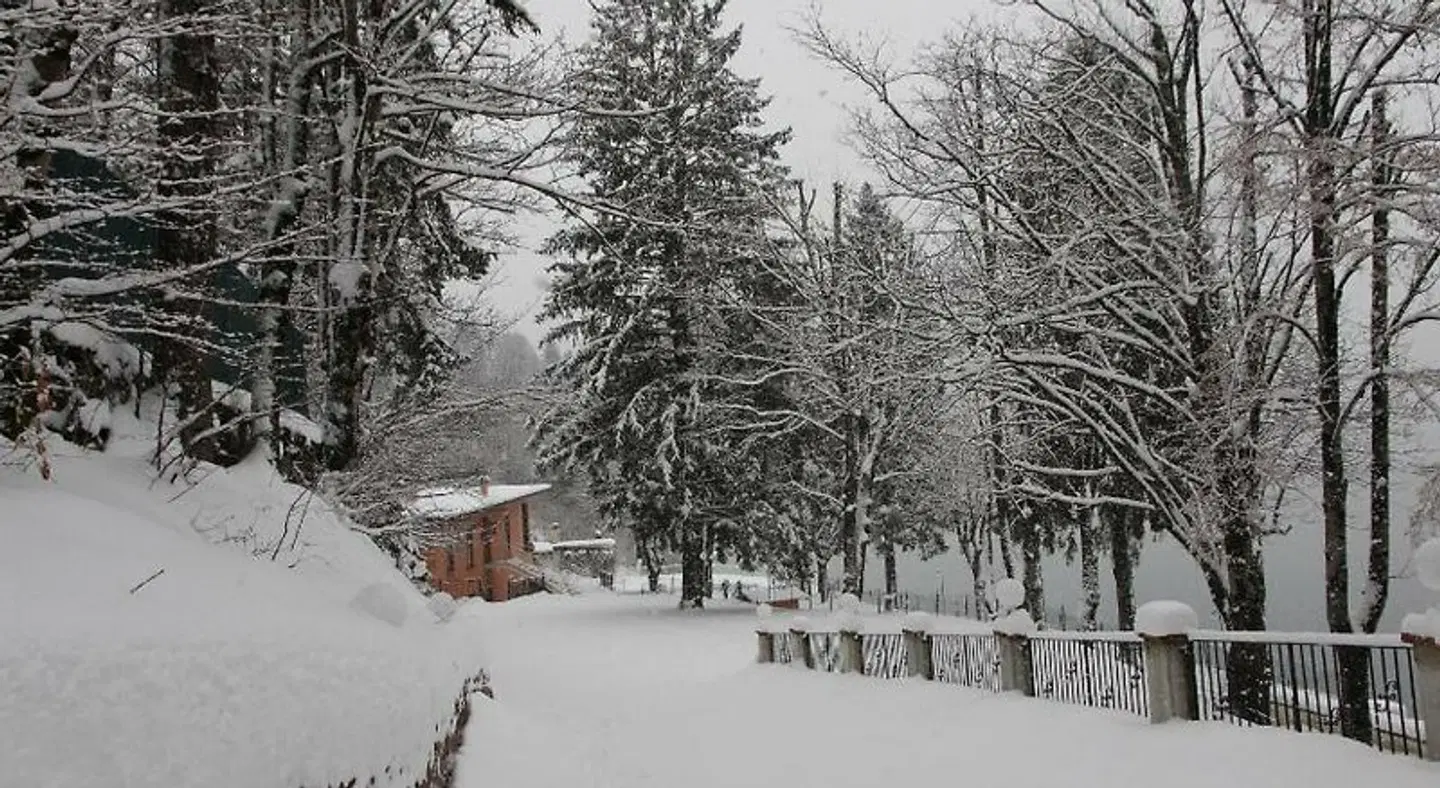 Lago Park Hotel LANDSCAPE
