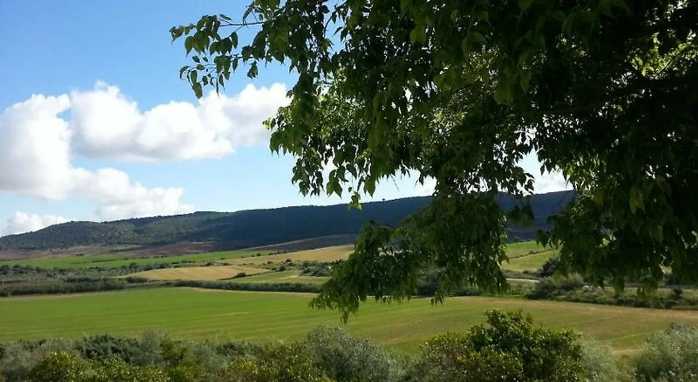 Hacienda el Santiscal LANDSCAPE