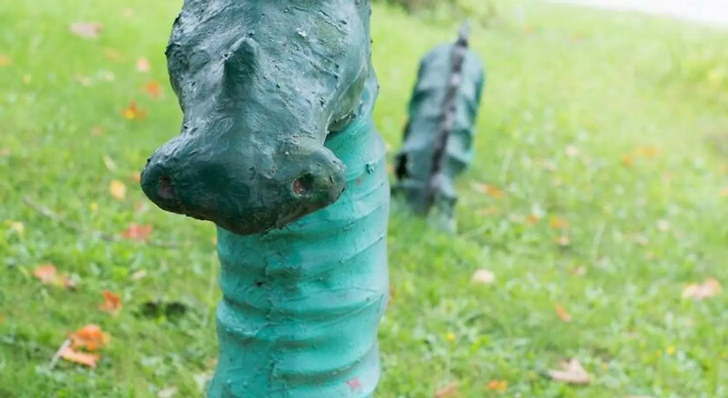 Ogopogo Resort Tiere