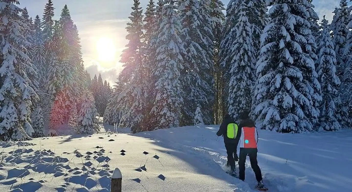 Au Coeur du Lapidaire SPORTS_AND_LEISURE