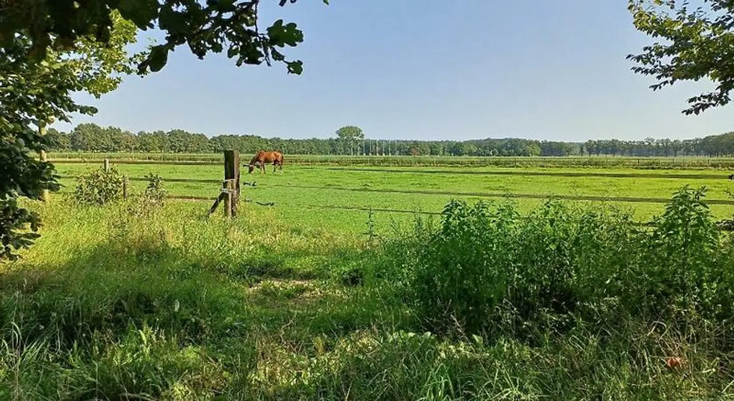 B&B Het mooie uitzicht LANDSCAPE