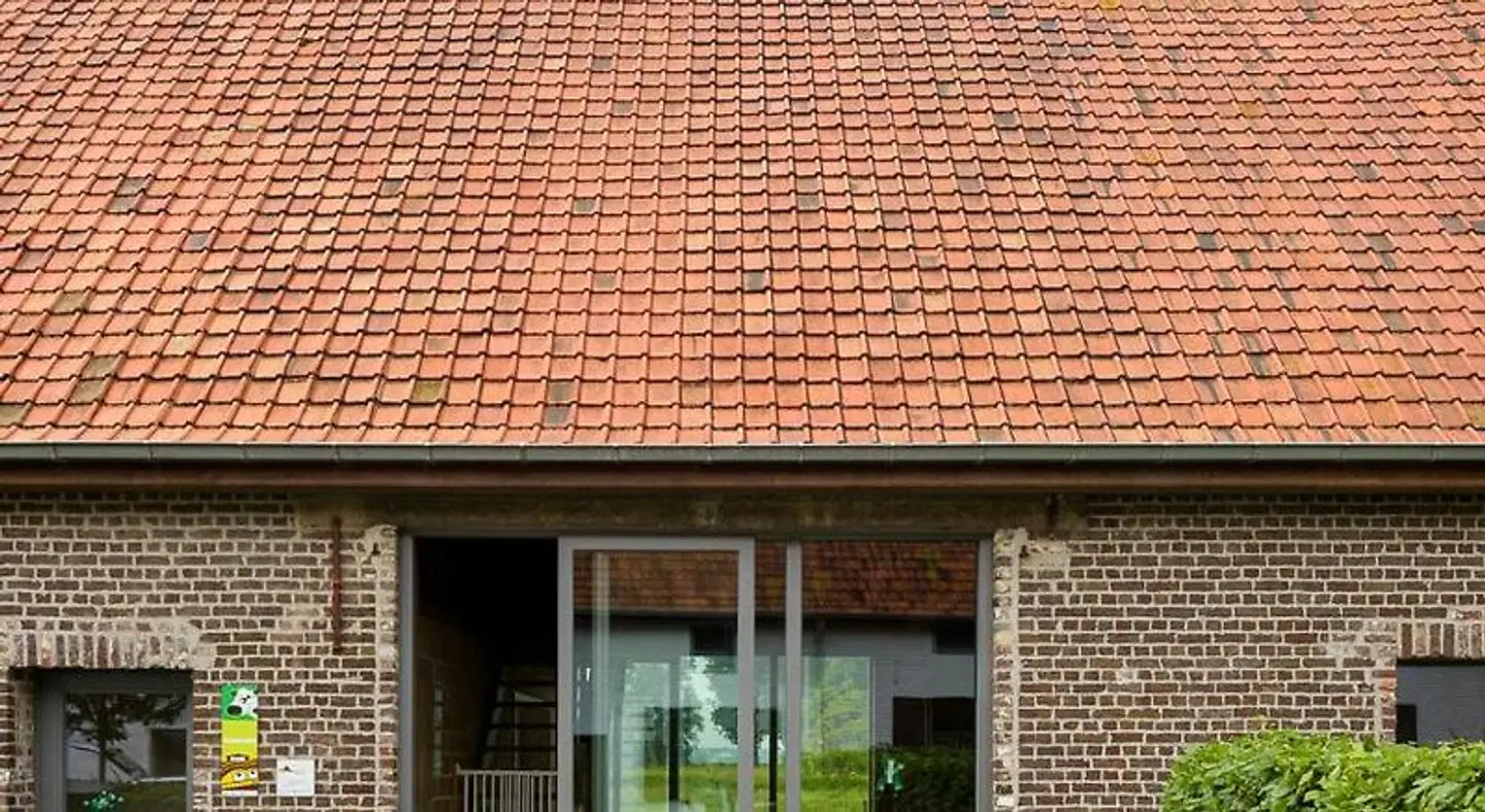 De Grote Linde EXTERIOR